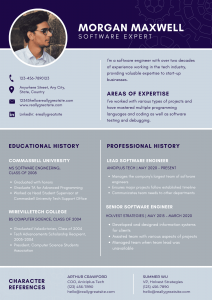 Yellow and Blue Alternate Sections Software Expert Resume 1