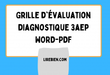 Grille d'évaluation diagnostique 3aep