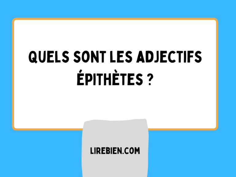 Adjectif qualificatif épithète et attribut  exemples et exercices avec