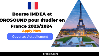 Bourse IMDEA et OROSOUND pour étudier en France 2023/2024