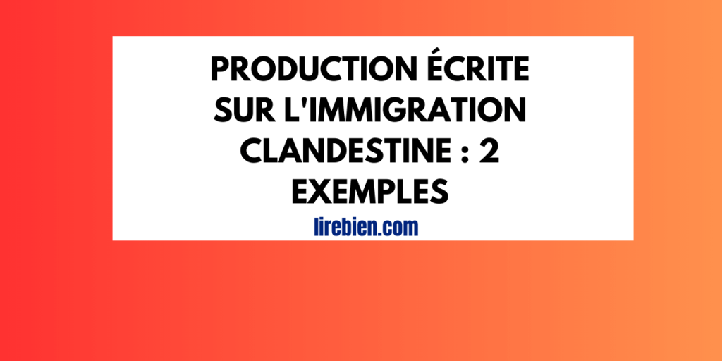 Production écrite sur l'immigration clandestine