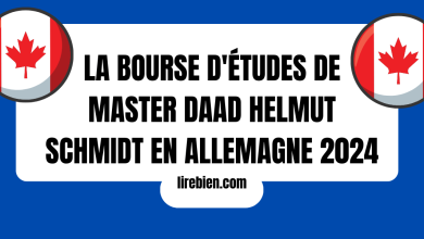 La bourse d'études de Master DAAD Helmut Schmidt en Allemagne 2024