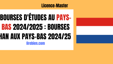 Bourses d'études au Pays-Bas 2024/2025