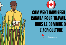 Comment immigrer au Canada pour travailler dans le domaine de l'agriculture