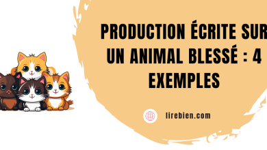 Des conseils pour écrire une production écrite sur un animal blessé