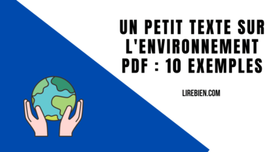 Un petit texte sur l'environnement PDF