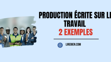 Production écrite sur le travail