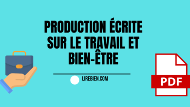 Production écrite sur le travail et bien-être