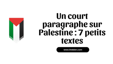 paragraphe sur Palestine en français