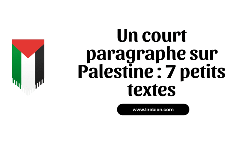 paragraphe sur Palestine en français