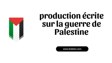 production écrite sur la guerre de Palestine