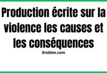 Production écrite sur la violence les causes et les conséquences