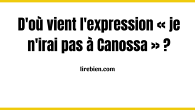 D'où vient l'expression « je n'irai pas à Canossa » ?