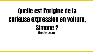 Quelle est l'origine de la curieuse expression en voiture, Simone ?