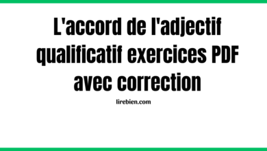 L'accord de l'adjectif qualificatif exercices PDF avec correction