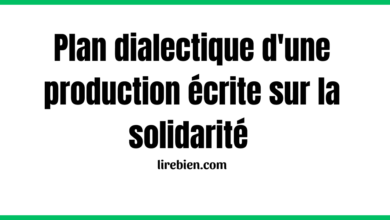 Plan dialectique d'une production écrite sur la solidarité 