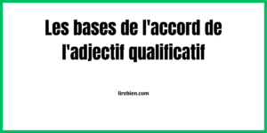 L'accord de l'adjectif qualificatif exercices PDF avec correction